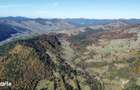 Vindem 53360 mp Bucovina - Vama