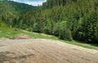 Teren de 3100 mp, în Muntele Băișorii - 5