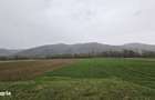 Vand Teren Agricol Galgau Jud Salaj - 2