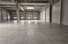 Spatiu Industrial - 4600 mp - Productie - Depozitare - Distributie - 6