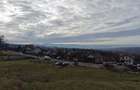 Teren de construit, 3900mp, acces asfaltat; - 3