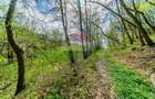 Casă de vacanta intr-o locatie de vis de vanzare in Carand,Romania