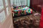 Casa si teren 3.700 mp la 30 km de Bucuresti posibilitate de impartire in casa cu 1.700 mp si parcela de 2.000 mp - 2