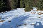 Teren de 300 mp, în Râu de Mori - 7