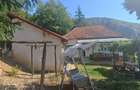 Casa si padure de vanzare in satul Mada comuna Balsa - 4
