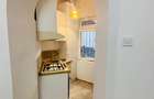 Apartament 2 camere ultracentral Armenească - 7
