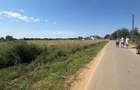 Vand teren intravilan 9.000 m in Joi?a, Giurgiu utilita?i la drum!
