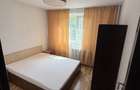 Inchiriere apartament 2 camere decomandat Raul Doamnei - 7