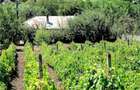 Vand casa in localitatea Valea lui Darie , com Rosiesti , jud Vaslui - 4