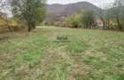 Teren intravilan 2500mp Criscior