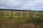 Teren de vanzare, 2.500 mp, Suta Olteni