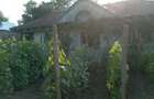 Vand casa Rebricea Jud Vaslui - 2