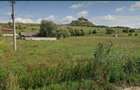 teren intravilan DN13 RUPEA - 4