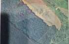 Teren forestier 15,618 mp Santimreu / com. Salard - Santimreu (Bihor)