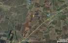 vand teren agricol 1.66 ha., sola 128, Topraisar, Constanta - 3