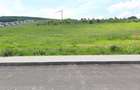Teren de vanzare in Livezeni - 6