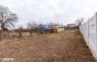 Gradina 300 mp - in ora? - 6