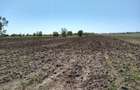 Teren la padure, Frumusani 8643mp, Proprietar Comision 0% - 7