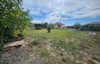 Teren in Dumbravita. 600 mp. Utilitati la limita de proprietate