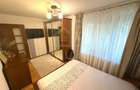 Apartament 3 camere decomandat parter Brazda lui Novac Si... - 8