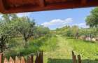Apartament cu 2 camere în Calea Aradului - 6