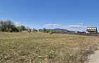 Teren intravilan- 1000mp- Harman-Brasov