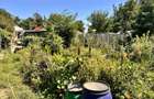 Teren + Casă de Vânzare Bacău, Calea Romanului – 1.850 mp