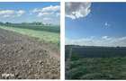 Teren extravilan, Valea Dragului, jud Giurgiu - 3035284 - 1