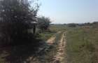 Teren, loc de casă, vânzare 3500 mp Cornesti-Bălești-Gorj, 2 euro mp
