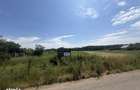 OCAZIE - Teren Intravilan - 8300 mp, Gruiu - Padurea Snagov - 14