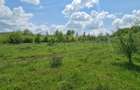 Teren 1500 mp pe str Paltinului, Valea Ghinzii , extravilan Bistrita