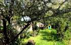 Apartament 3 camere in vila, curte proprie 152 mp, Andrei Muresanu Clu - 12