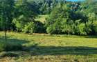 De vanzare proprietate deosebita in judetul Bihor Comuna Orvisele - 3