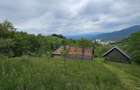 Domeniu Premium 1.7 Ha Intravilan Zarnesti | Liziera Padure - 12