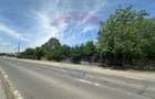 Teren 545,000mp Dragomiresti-Vale - 8