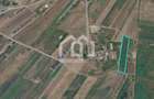 5.800 mp | Front 30 m | 20EUR/mp | Jucu de Mijloc - 1