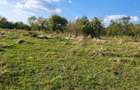 Vand casa in Pestere - 6