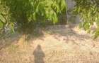 Vand schimb teren intravilan in Ciocaia cu Autorulota - 4