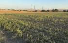 Teren de constructie, 4000mp, acces asfaltat - 13