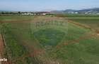 Teren 39,500mp Vintu de Jos
