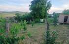 Teren intravilan in loc. Buznea - 4