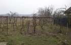 Vand casa de locuit in zona linistita din Jud.Valcea - 4