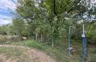 Vand gradina 400 mp.sat Macau,comuna Aghiresu - 7