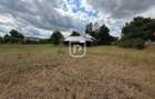 Casa + 1.600 MP teren Intravilan – Băișești | Aproape de Școală - 10