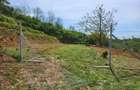 Vind 800m2 teren intravilan str.PERILOR 20 ONCEA