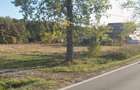 Teren intravilan de vanzare pe DN7, 5500mp - 5