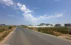 Teren 490500 mp Finan?are direct proprietar aproape Bucure?ti - 3