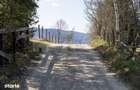 Teren Intravilan 3.791 mp | Priveli?te Panoramica Superba | Poiana Mar - 10