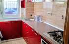 Apartament cu 2 camere în Șega - 8