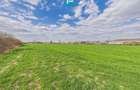 Teren extravilan, 1 ha, in ora?ul Sebi?, Arad - 6